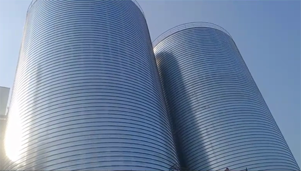 安庆2座混凝土高架卷板仓